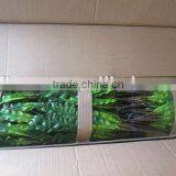 Silk Fern Leaves Bush Natural Touch