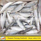 Frozen Small Eye Yellowtail Round Scad