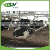 KLN Cow Free Stall / Cow Bed