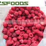 New Crop IQF frozen raspberries price
