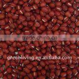 New Dried Red Kidney Bean (small and Big) thumbnail-1