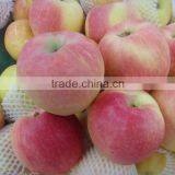 Fresh Gala Apple Exporter in China thumbnail-5