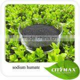 Best Quality Sodium Humate Flake in Hot Sale!!! thumbnail-1