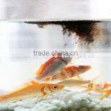 90%min Water Soluble Humic Acid thumbnail-2