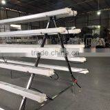 Hydroponic Vertical System for Lettuce thumbnail-5