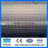 Hot Dip Galvanized Weled Wire Mesh (factory)