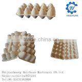 Paper Pulp Tray Packing thumbnail-2