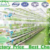 Agriculture Plastic Large Multi Span Commercial Greenhouse for Sale thumbnail-5