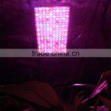 1000W LED Grow Light - High Yield - Full Spectrum Indoor Hydroponic Plants Veg Bloom thumbnail-6
