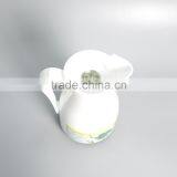 Competitive Price 1.0L Plastic Thermos Tea Pot With Handle for Sale thumbnail-3