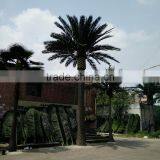 Hot Sale Dubai Artificial Tall Palm Tree thumbnail-1