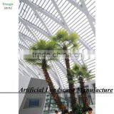 Huge Indoor Ornament Palm Trees Wholesale Fake Palm Tree thumbnail-5