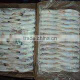 Frozen Silver Croaker thumbnail-1