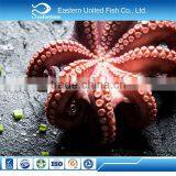 Hot Sale Whole Cleaned Baby Octopus 1 st Skin thumbnail-1