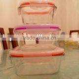 Clear Glass Food Container Set