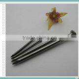 Common Wire Nails Supplier From China Special for Yemen Market thumbnail-4