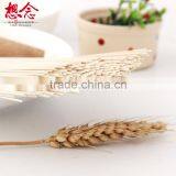 Xiang Nian Brand Wholesale Instant Noodles Ramen thumbnail-5