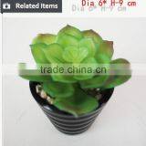 Tropical Mini Succulent Plants Bonsai for Sale Artificial Succulents thumbnail-4