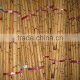 Manau Cane, Manau, Manao, Rattan Pole, Pole, Rattan, Cane, Rattan Cane, Cricket Cane, Singapore Cane, Manao Cane, Manao Pole thumbnail-5