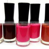 Glitter Nail Polish India, Private Label Nail Polish India thumbnail-6