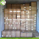 Factory For Sale Dried Conventional Goji Berry thumbnail-5