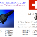 2 PINS SWISS PLUG(TYPE 11)