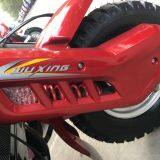 Gasoline Tricycle Double Shock Absorber Trike Three Wheeler Cargo Loader thumbnail-2