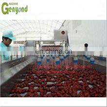 Automatic Dates Pitter Machine/Date Pitting Processing Machine/Date Seed Removing Machine thumbnail-3