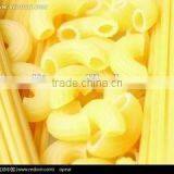 CE Approved Italian Pasta Processing Line thumbnail-2