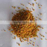 Bee Pollen thumbnail-1