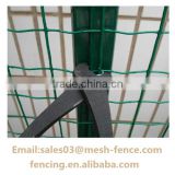 Nature Coated Euro Fence Wave Fencing/50*50 Holland wire mesh