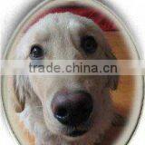 Dog Tag, Elliptical Shape, Two Side Engraved