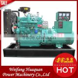 Electricity generators for homes Weifang Tianhe ricardo diesel generator set 50kva price