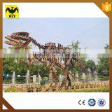 HLT Dinosaur Fossil Dinosaur Skeleton for Sale thumbnail-3