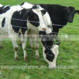 Galvanized Steel Wire Sheep / Cattle Fence Hot Sale