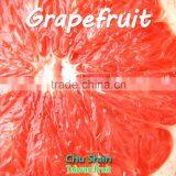 2016 Hot Sale Fresh Grapefruit thumbnail-6