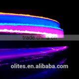 2016 New Product 8 Pixels per Meter Swimming Pool Ultra Bright Led Strip Lighting thumbnail-2