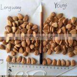 Supply Bulk Sweet Apricot Kernels With Youyi Type thumbnail-6
