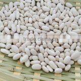 China Spanish White Kidney Beans thumbnail-3