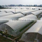 Greenhouse for Horticultural Greenhouse for Vegetable Green Houses Material thumbnail-5