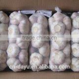 2016 Fresh Garlic Supplier thumbnail-5