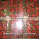 DELICIOUS Red STRAWBERRY FROM EGYPT thumbnail-2