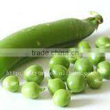 Tin Cans for Food Canning Green Peas thumbnail-1