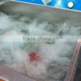 WASC-10 Stainless Steel Bubble Vegetable and Fruit Washer Machine thumbnail-4