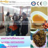 Low Price Automatic Samll Cold Plam Kernel Oil Seed Press Machine
