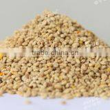 Careful Selected Pure Papaver Bee Pollen