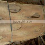 Eucalyptus Core Veneer B Grade - Kego Ltd thumbnail-4