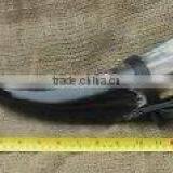 Drinking Horn thumbnail-2