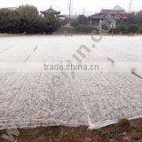 pp Spun Bond Nonwoven Fabric Polypropylene for for Agriculture Usage Cover thumbnail-5