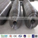 Galvanized Welded Wire Mesh / Welded Wire Mesh Fence / Bird Cage Welded Wire Mesh Roll thumbnail-6